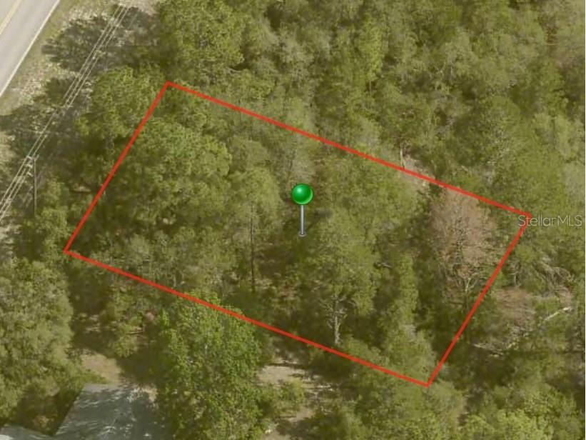  Citrus Springs FL 34433 A4601717 image2