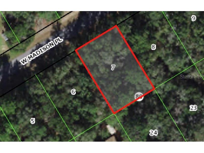  Citrus Springs FL 34434 A4562917 image1