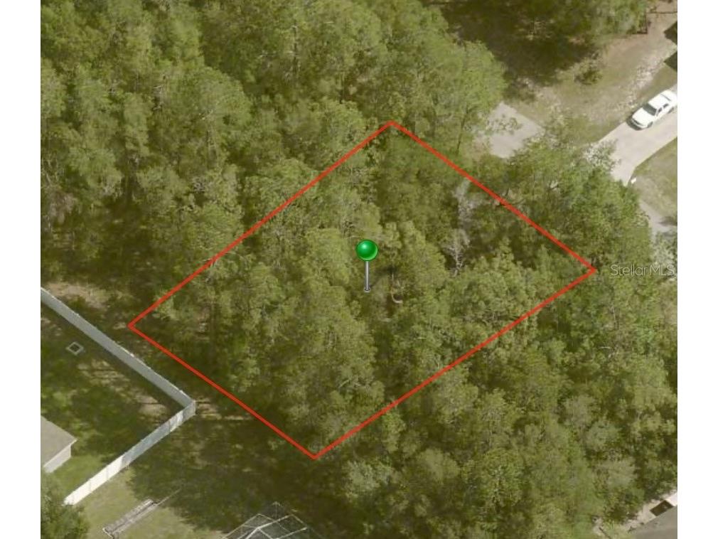  Citrus Springs FL 34434 A4600204 image1