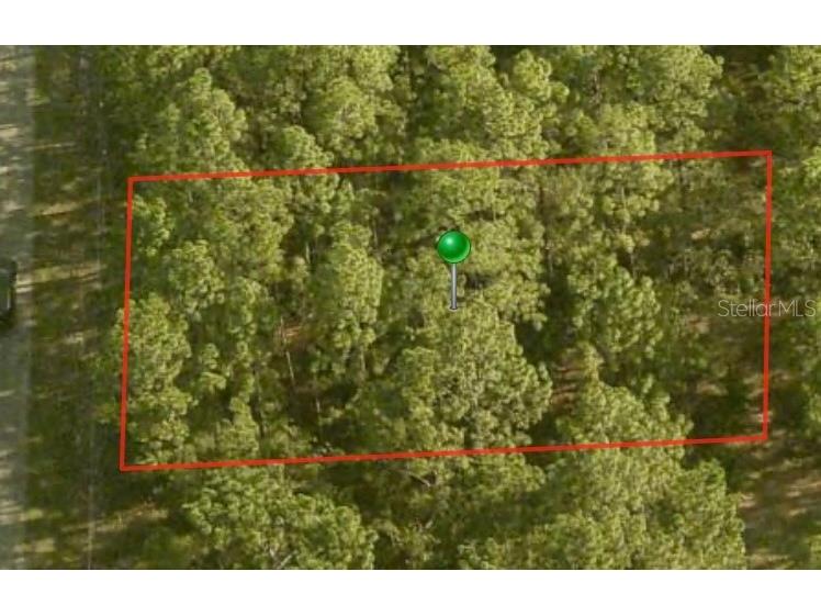  Citrus Springs FL 34434 A4600205 image1