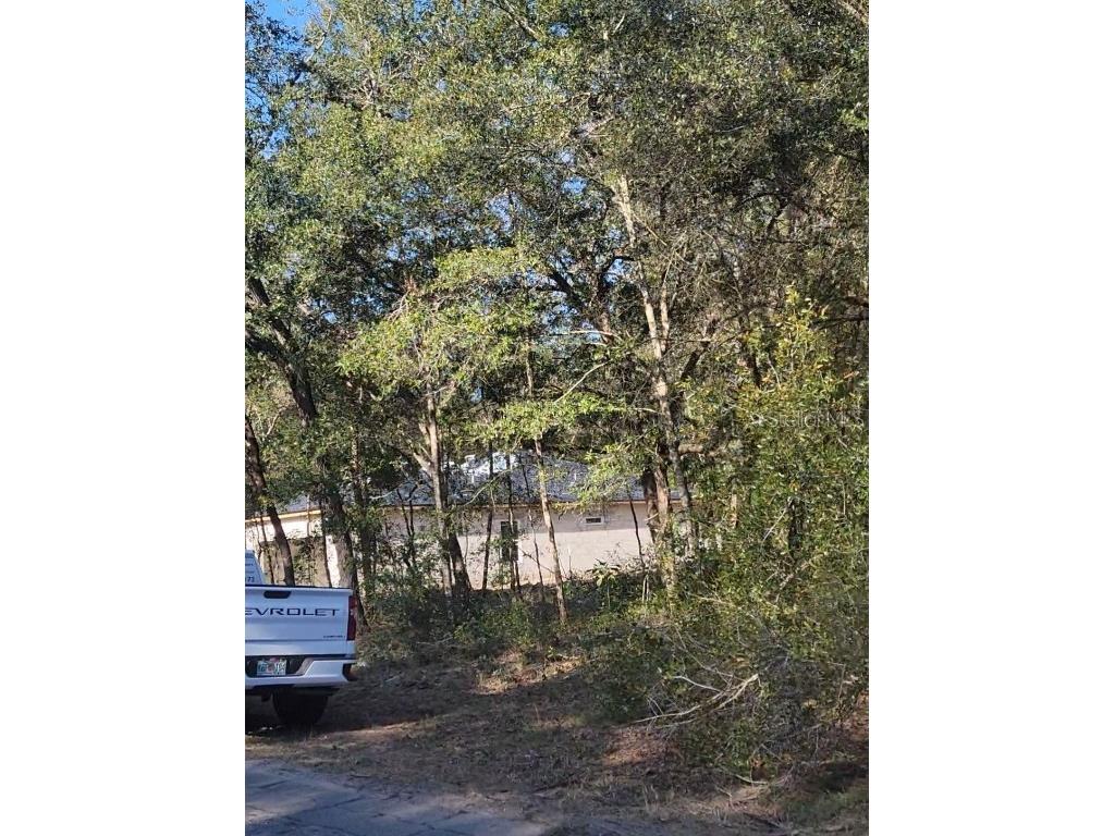 9072 N Arcadia Way Dunnellon Citrus Springs FL 34434 O6183080 image1