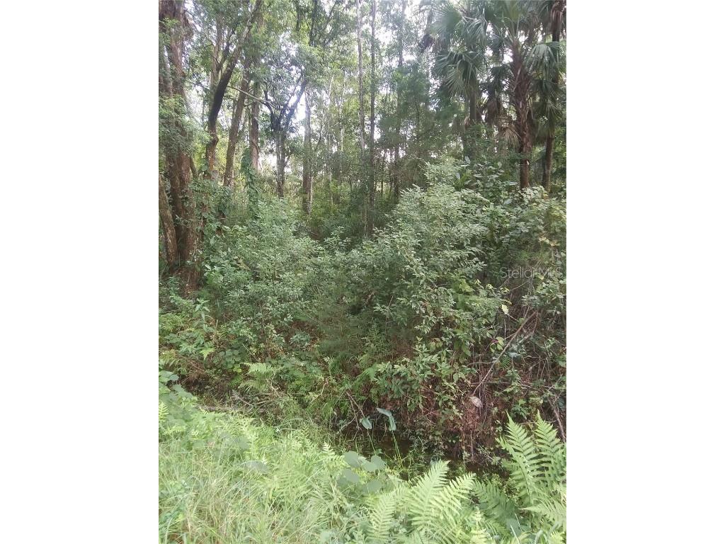 Citrus Street Bunnell FL 32110 FC294688 image1