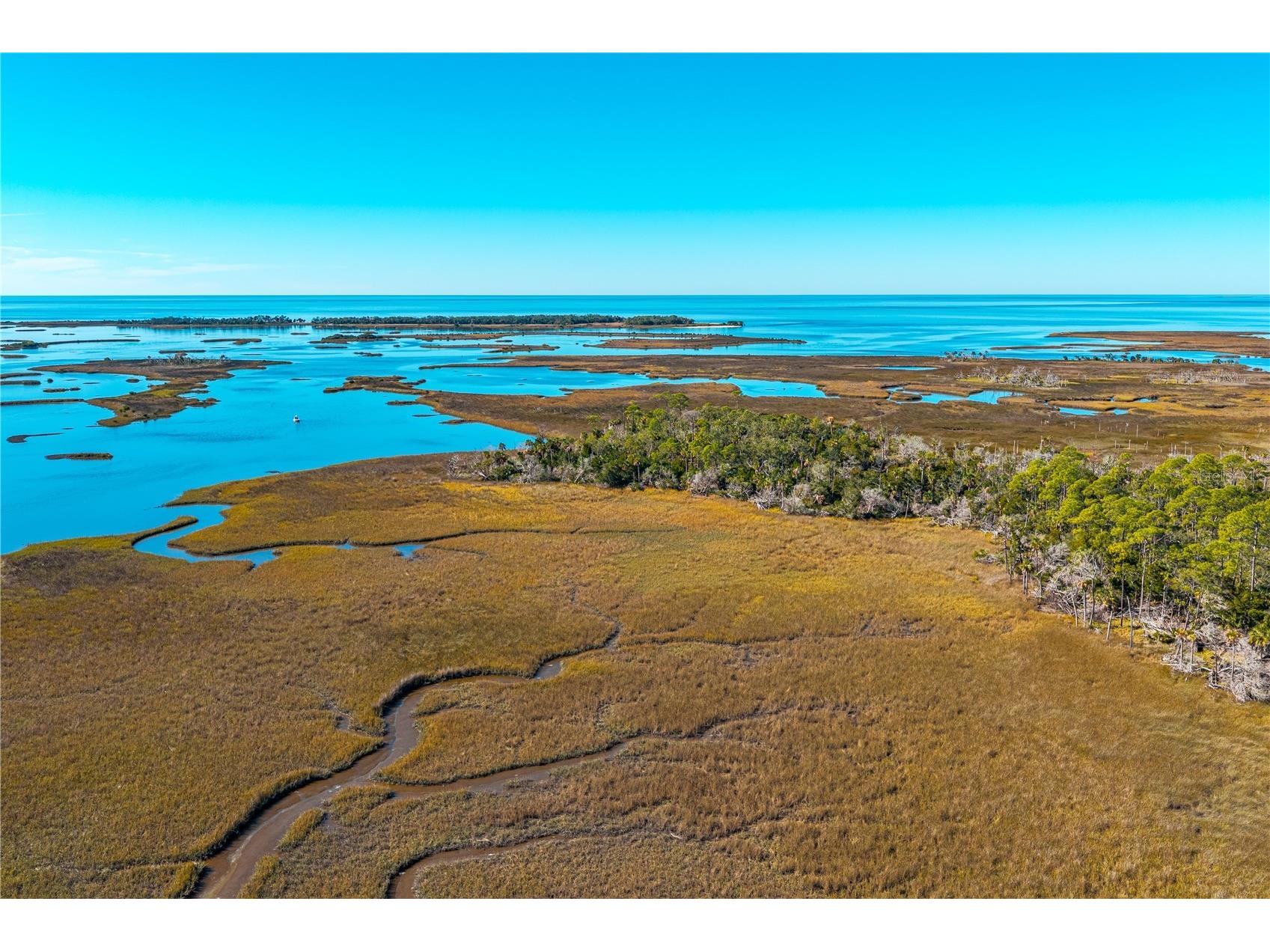 Clark Island Cedar Key FL 32625 O6375079 image11