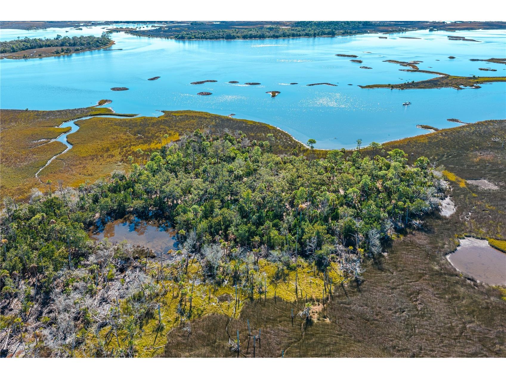 Clark Island Cedar Key FL 32625 O6375079 image13