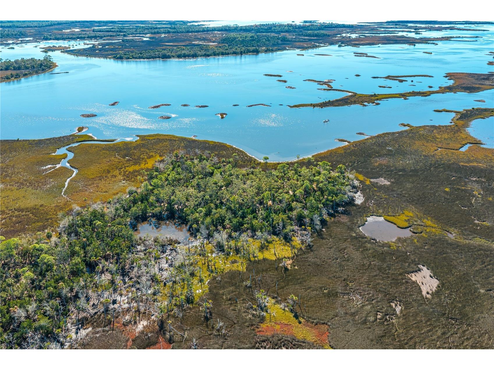 Clark Island Cedar Key FL 32625 O6375079 image14