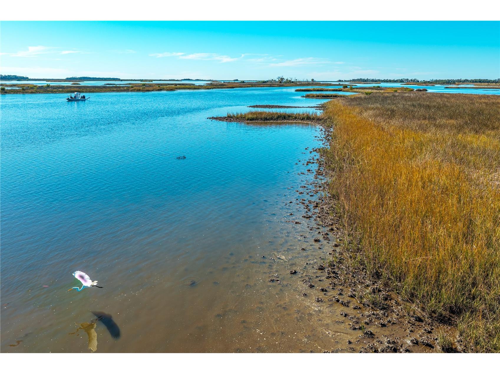 Clark Island Cedar Key FL 32625 O6375079 image2