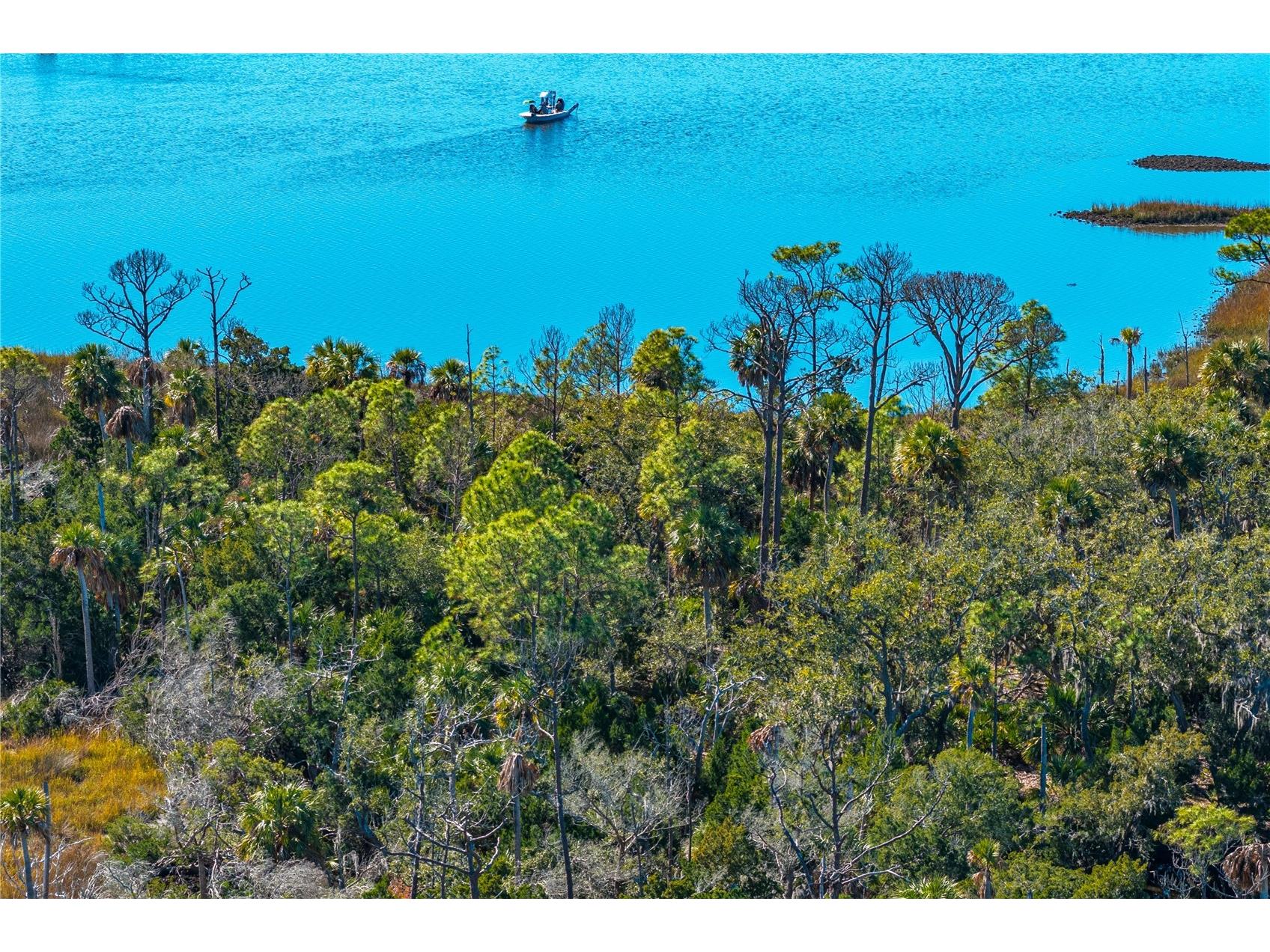 Clark Island Cedar Key FL 32625 O6375079 image20