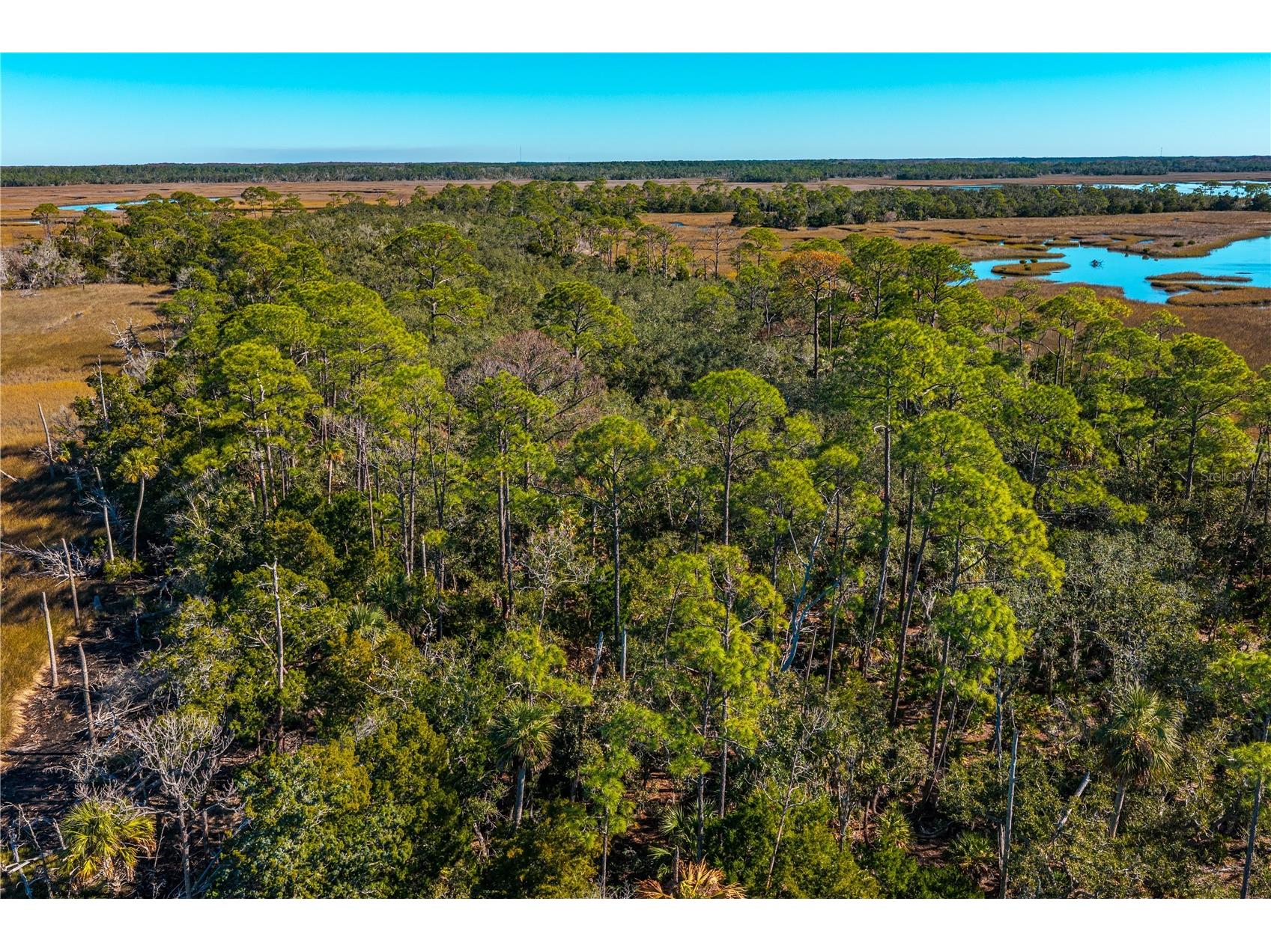 Clark Island Cedar Key FL 32625 O6375079 image21
