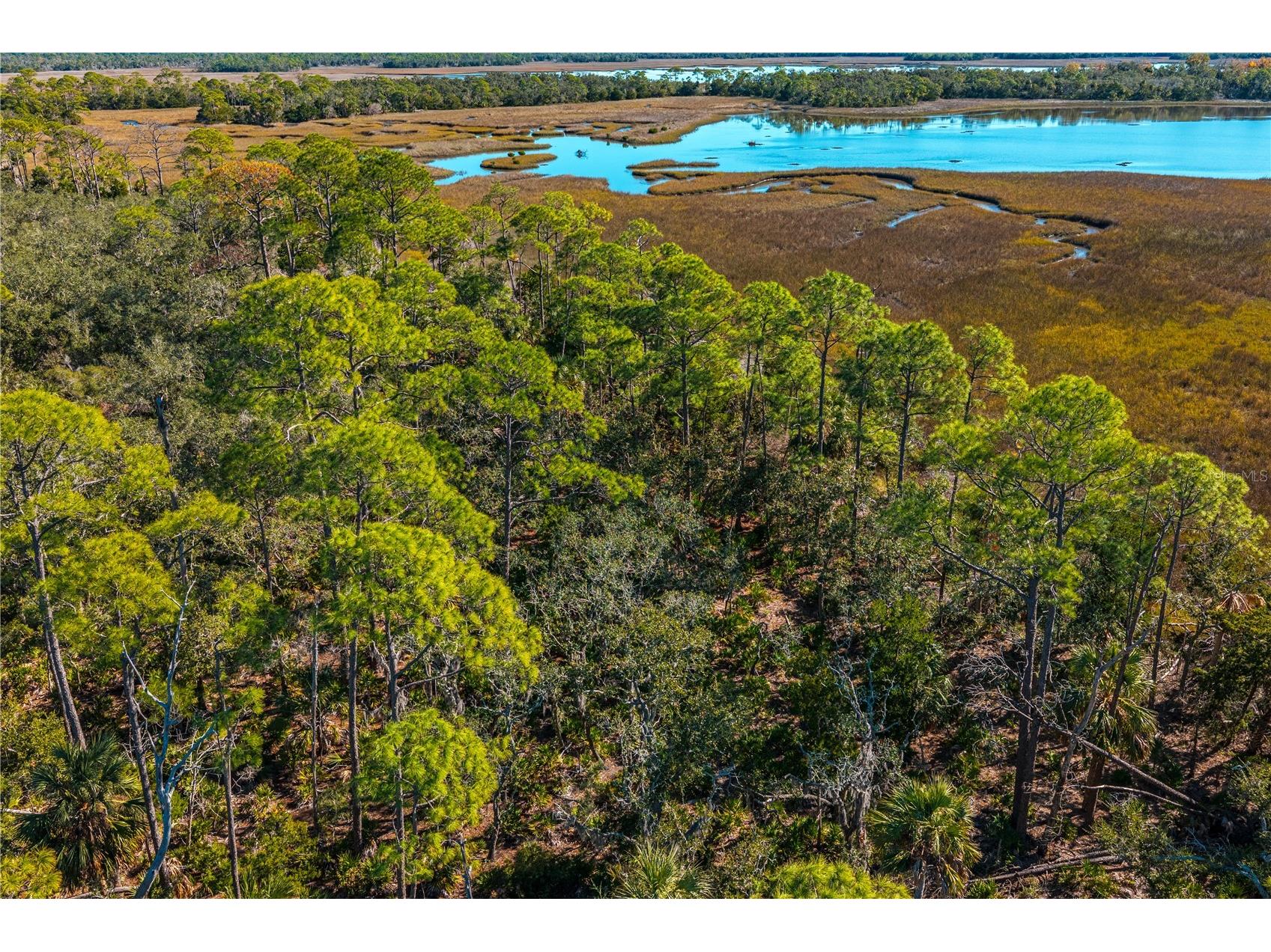 Clark Island Cedar Key FL 32625 O6375079 image22