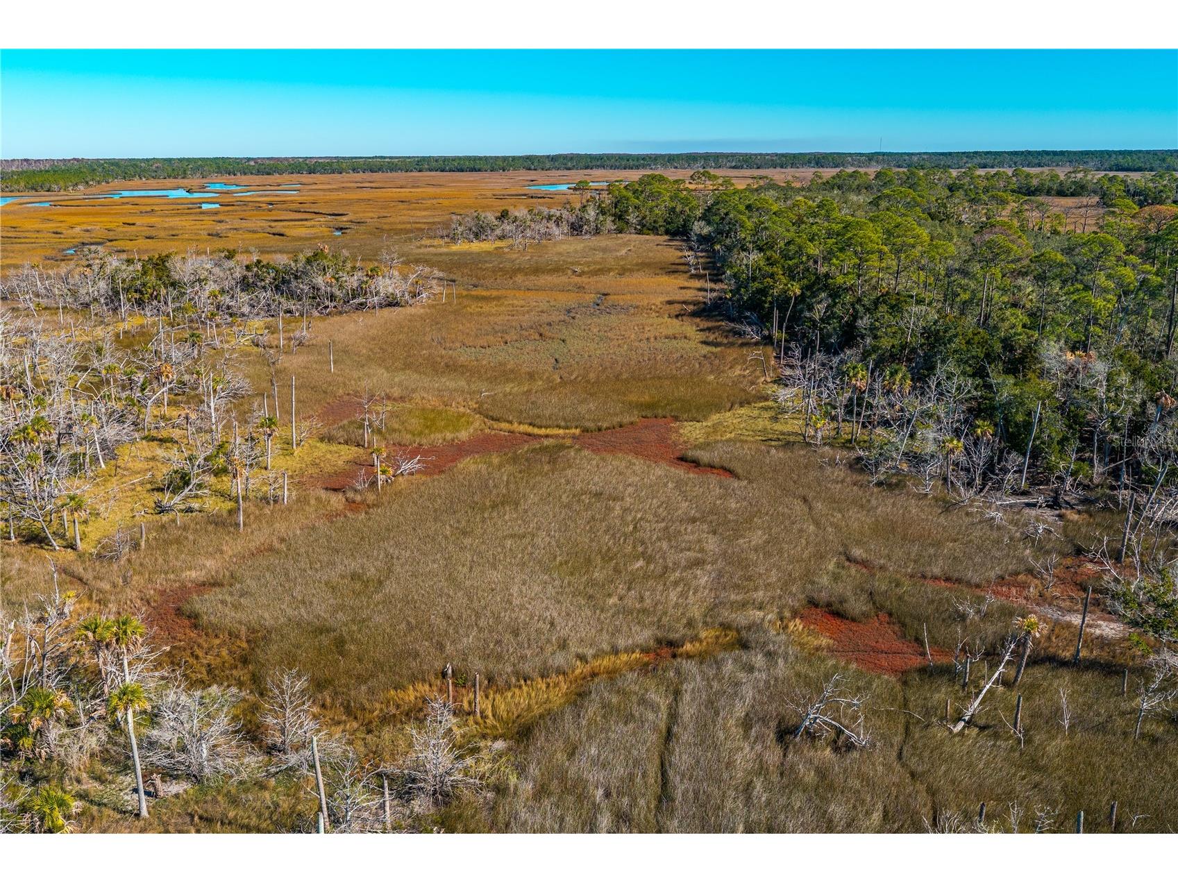 Clark Island Cedar Key FL 32625 O6375079 image24