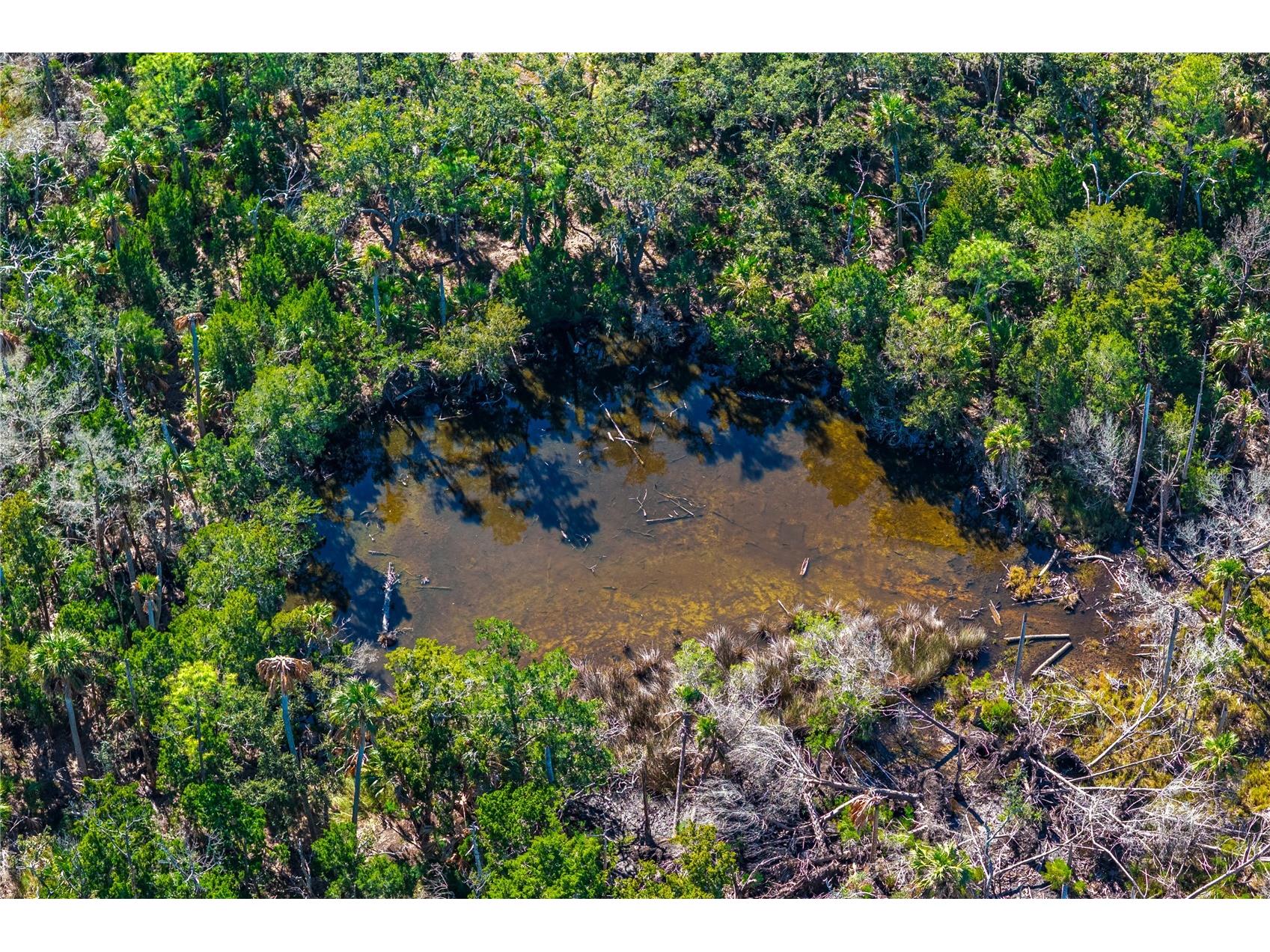 Clark Island Cedar Key FL 32625 O6375079 image26