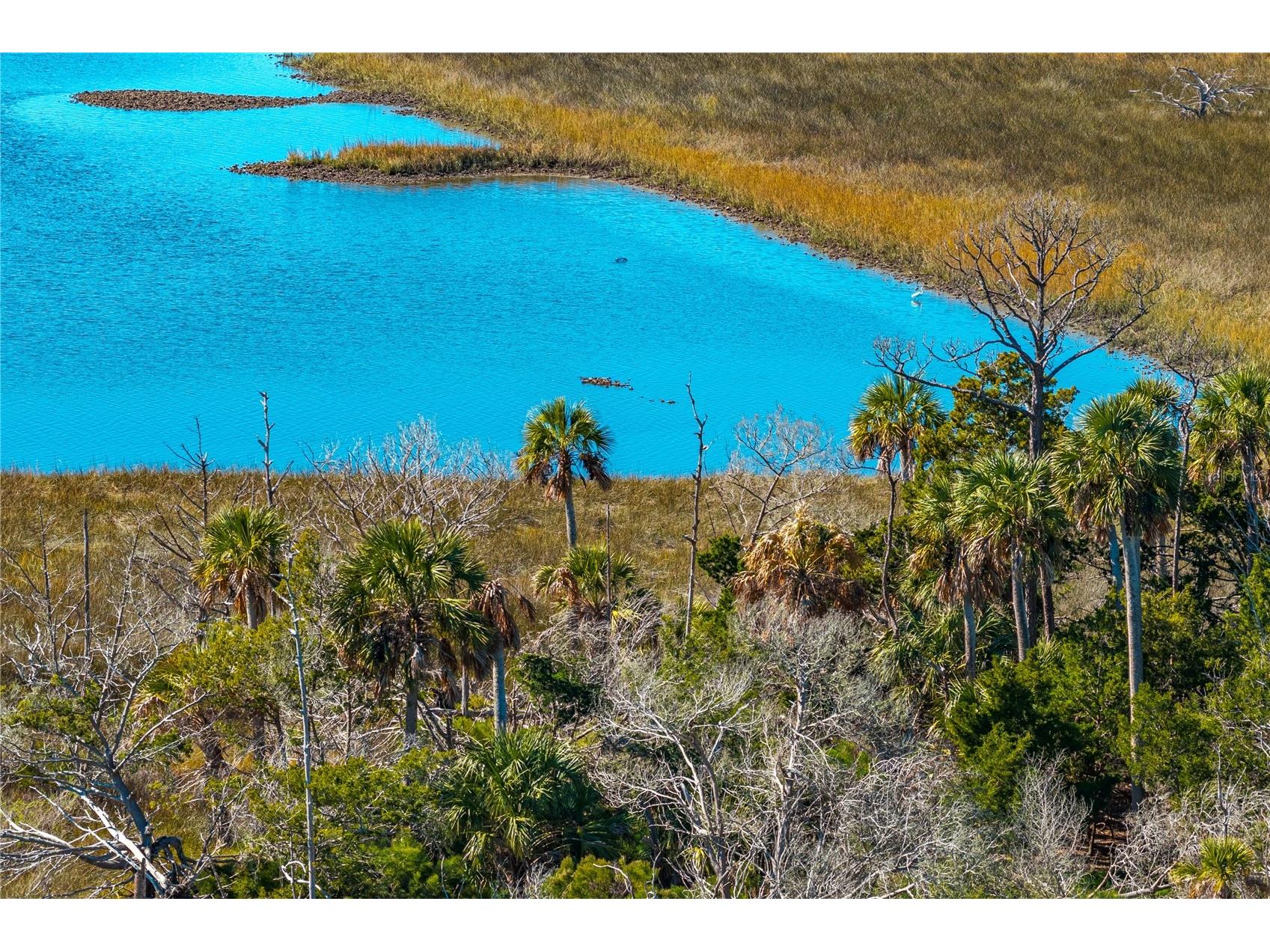 Clark Island Cedar Key FL 32625 O6375079 image28