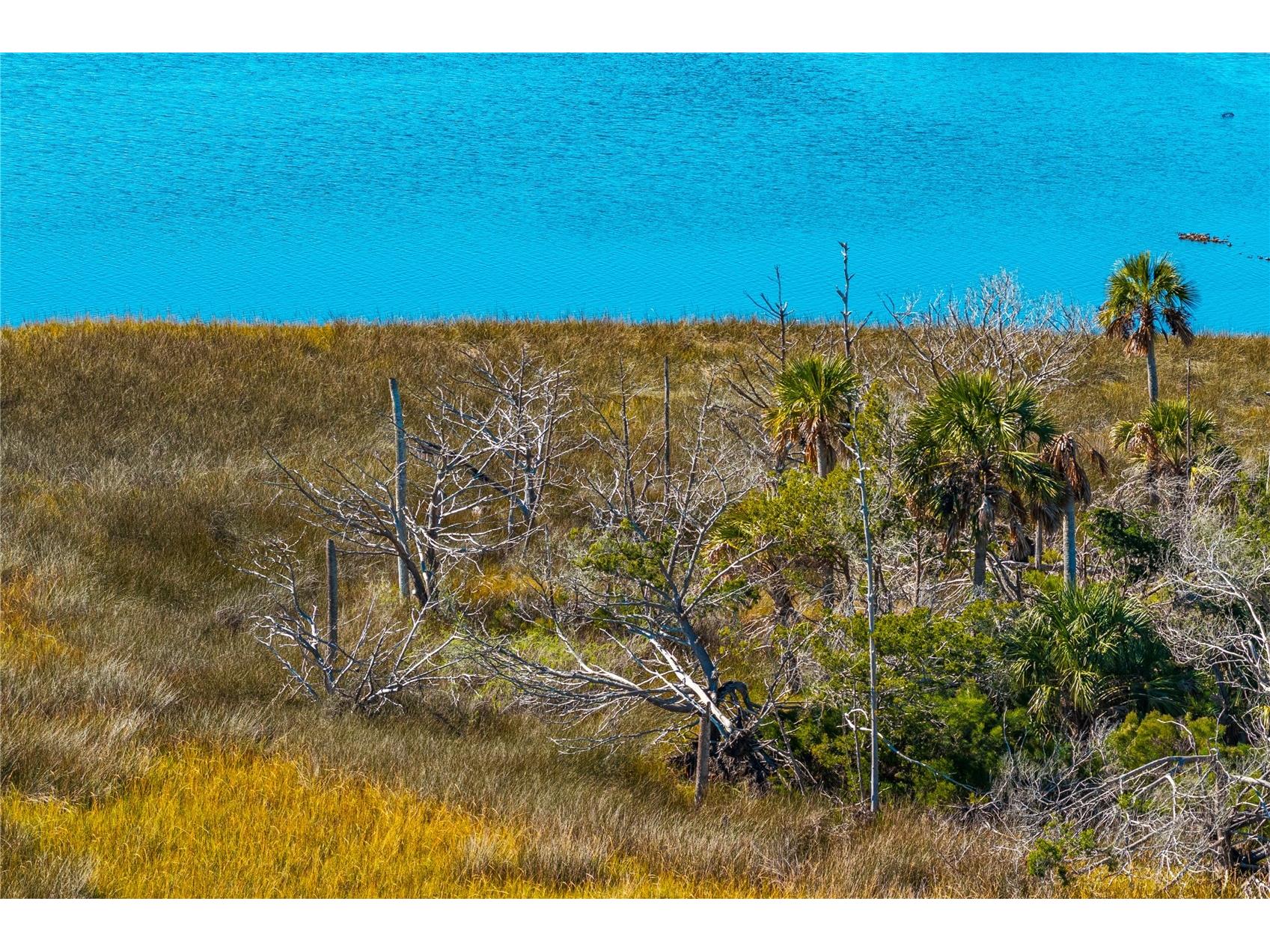 Clark Island Cedar Key FL 32625 O6375079 image29