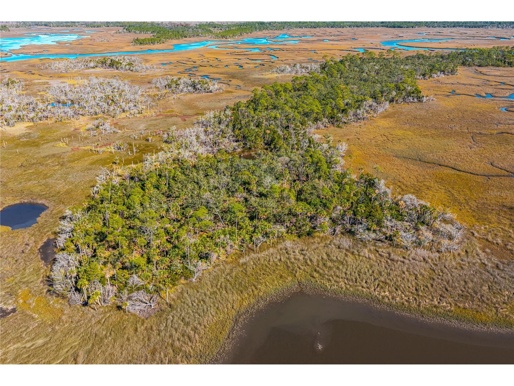 Clark Island Cedar Key FL 32625 O6375079 image3