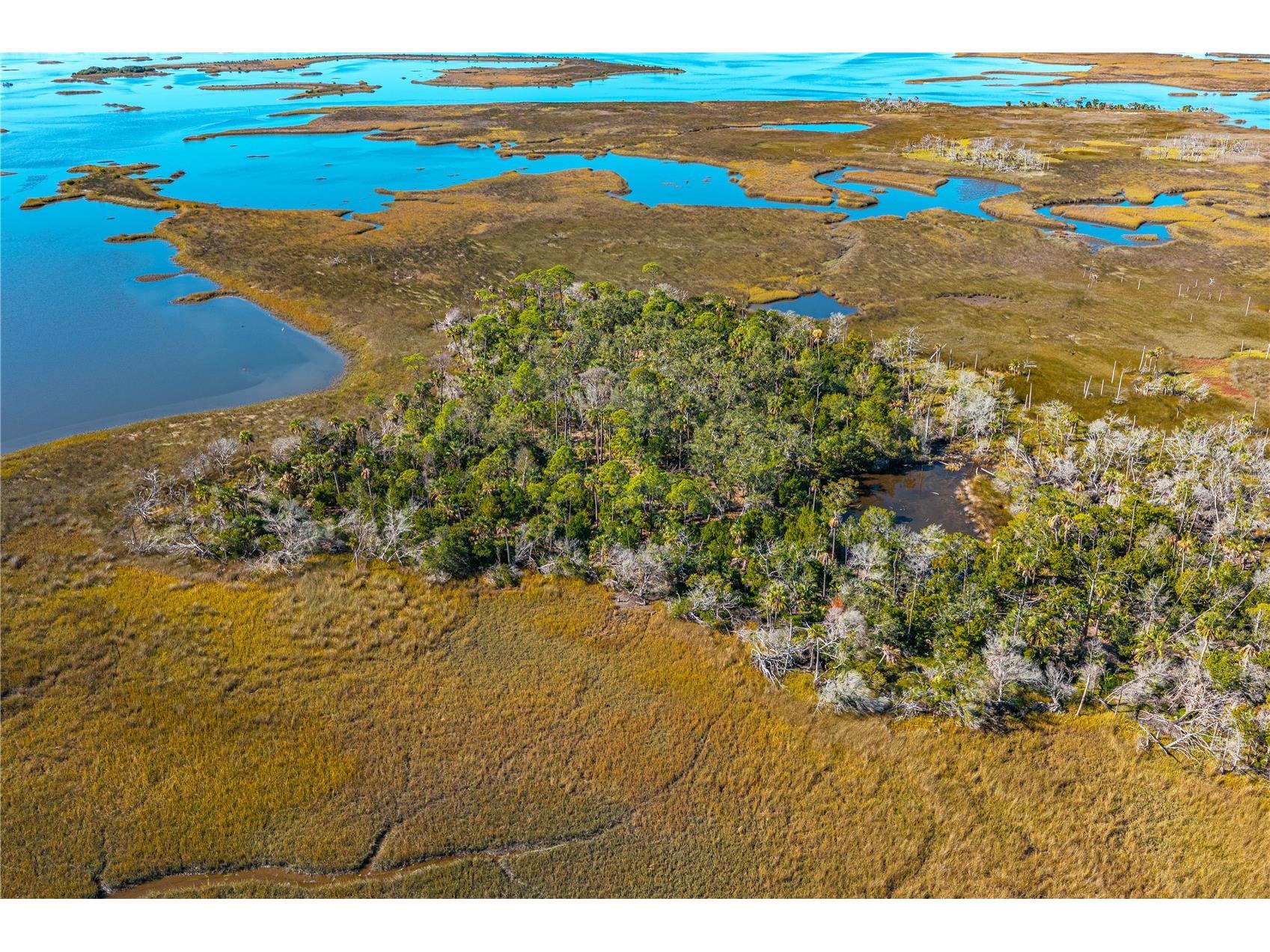 Clark Island Cedar Key FL 32625 O6375079 image31