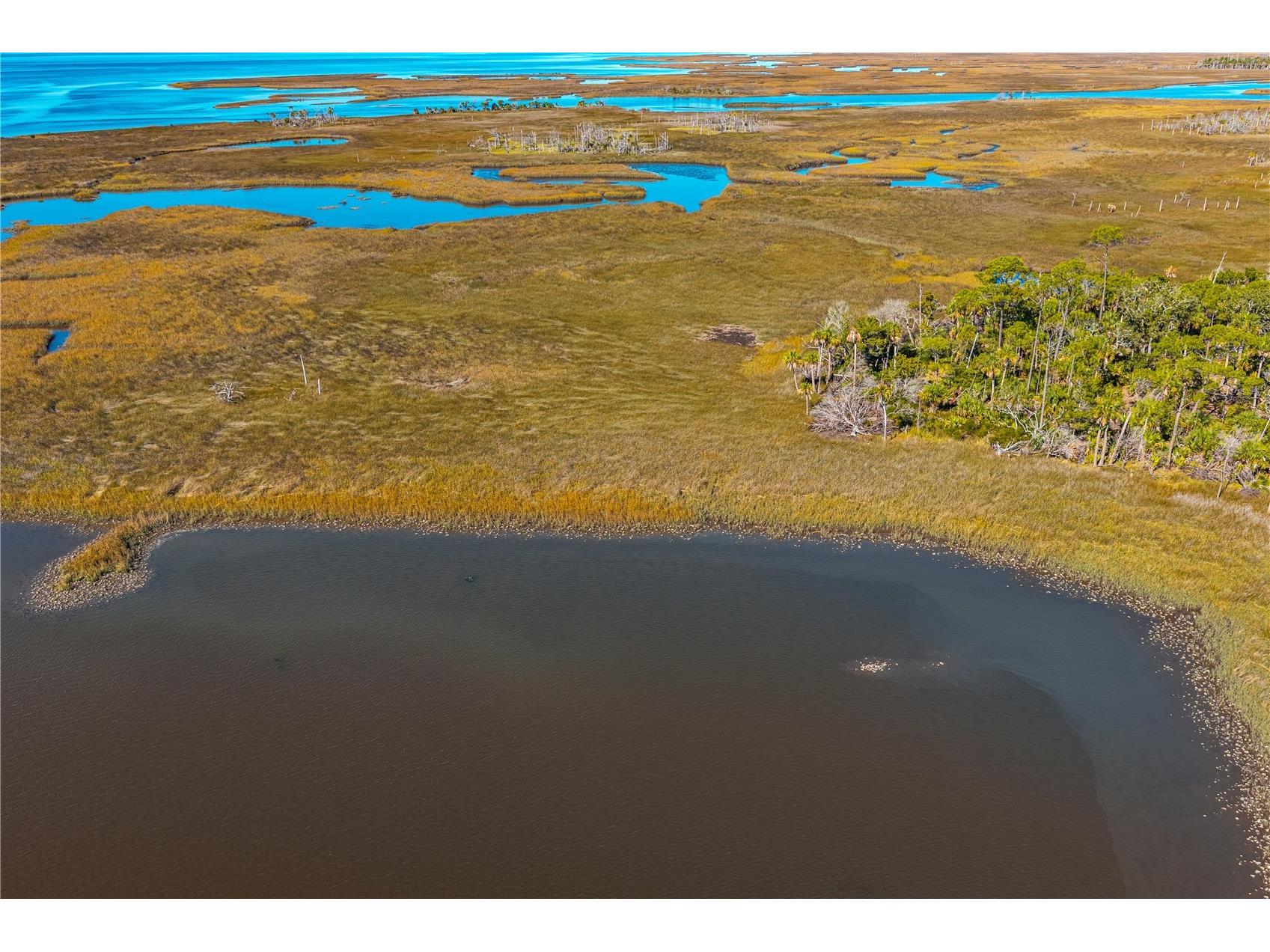 Clark Island Cedar Key FL 32625 O6375079 image32