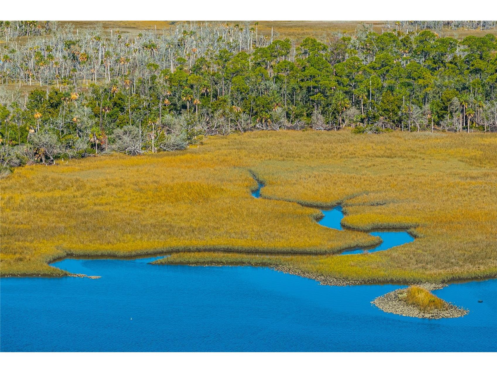 Clark Island Cedar Key FL 32625 O6375079 image33