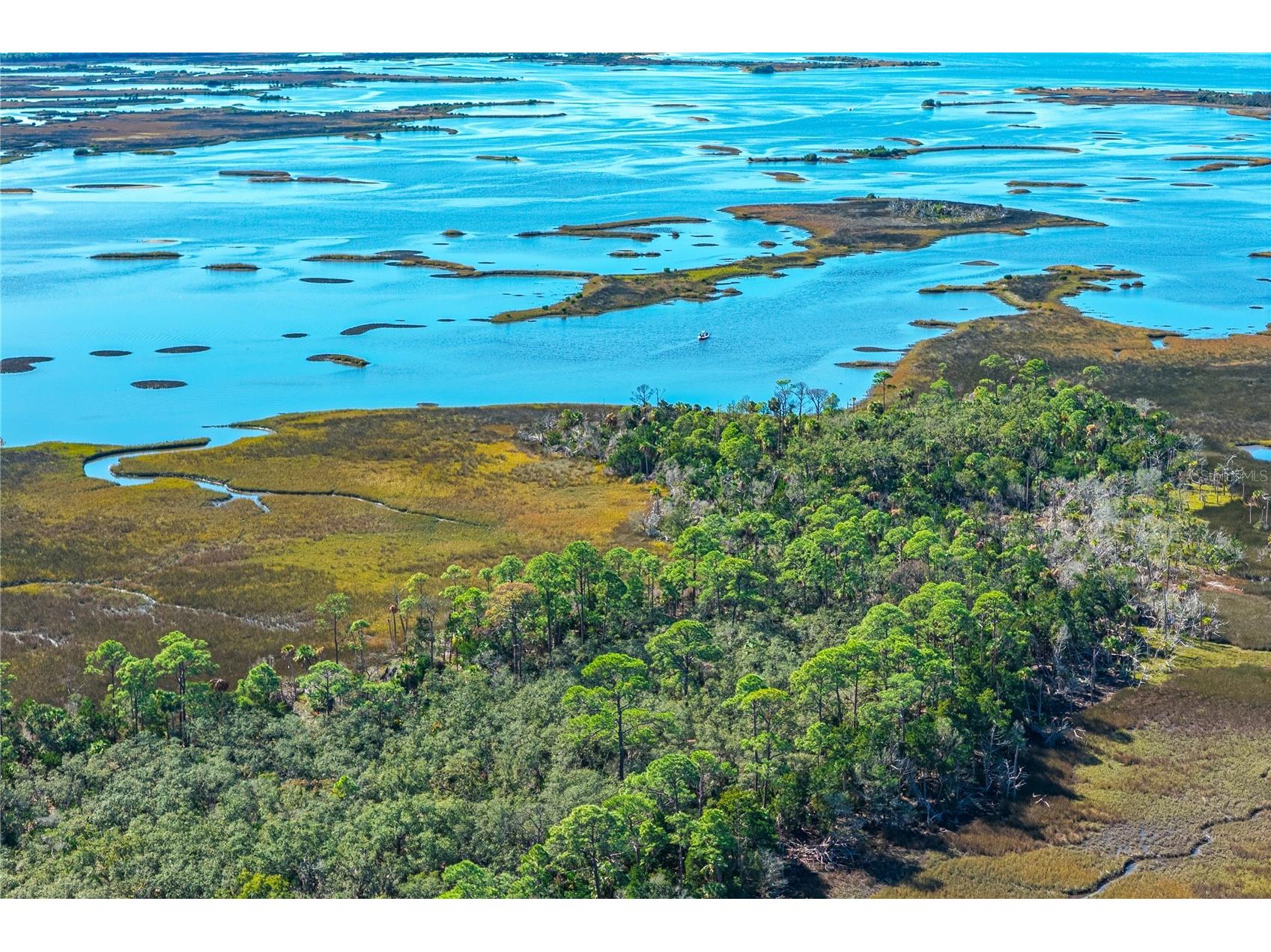 Clark Island Cedar Key FL 32625 O6375079 image35