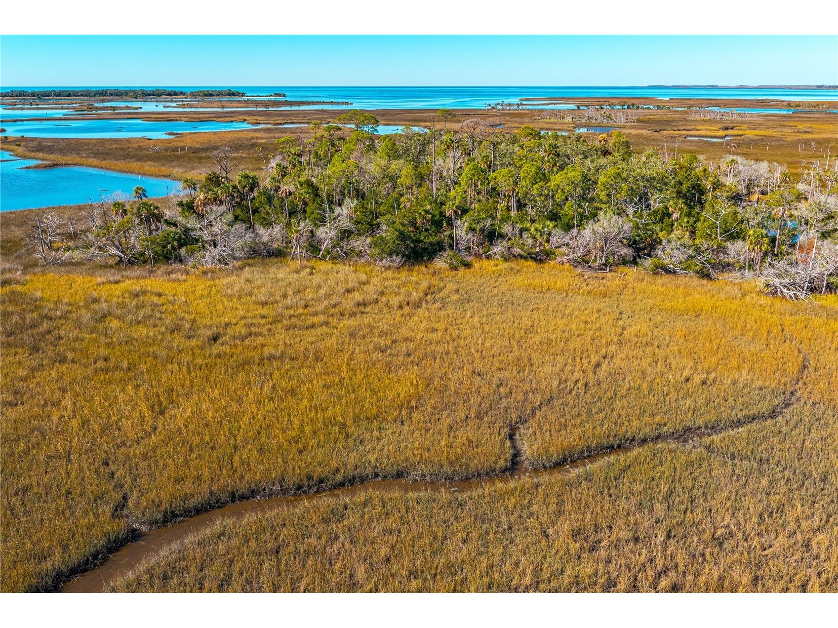 Clark Island Cedar Key FL 32625 O6375079 image38