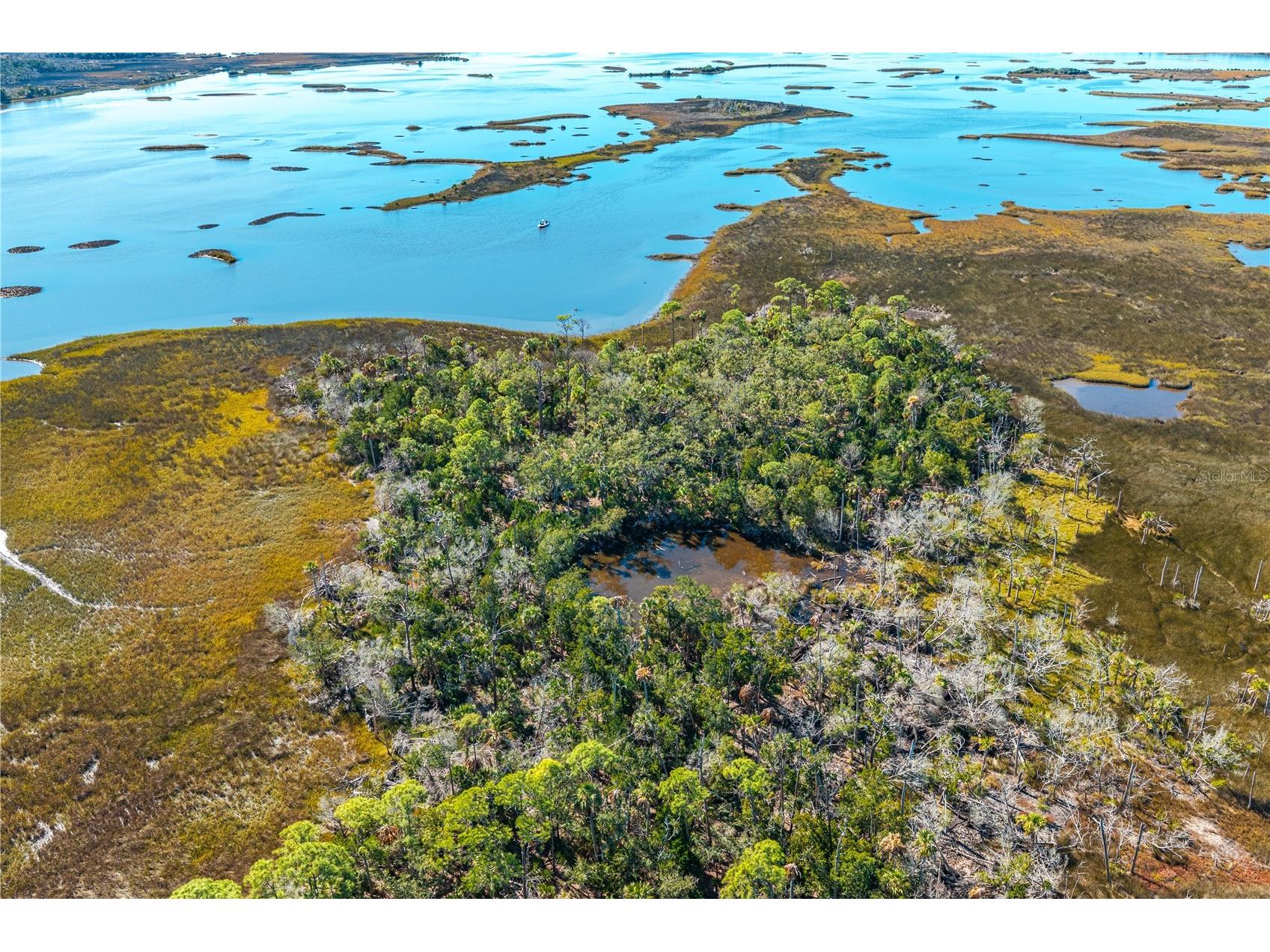 Clark Island Cedar Key FL 32625 O6375079 image4