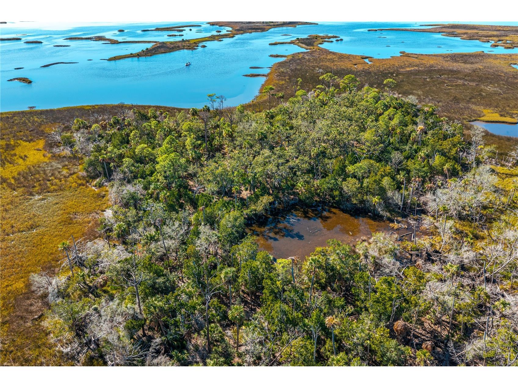 Clark Island Cedar Key FL 32625 O6375079 image7