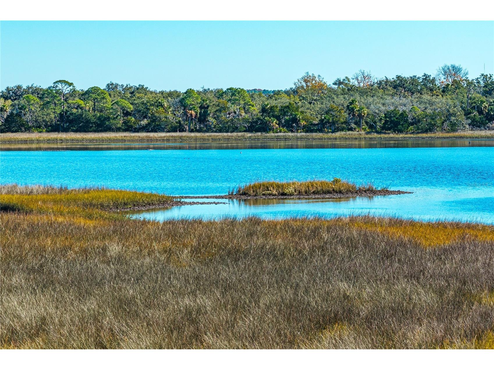 Clark Island Cedar Key FL 32625 O6375079 image8