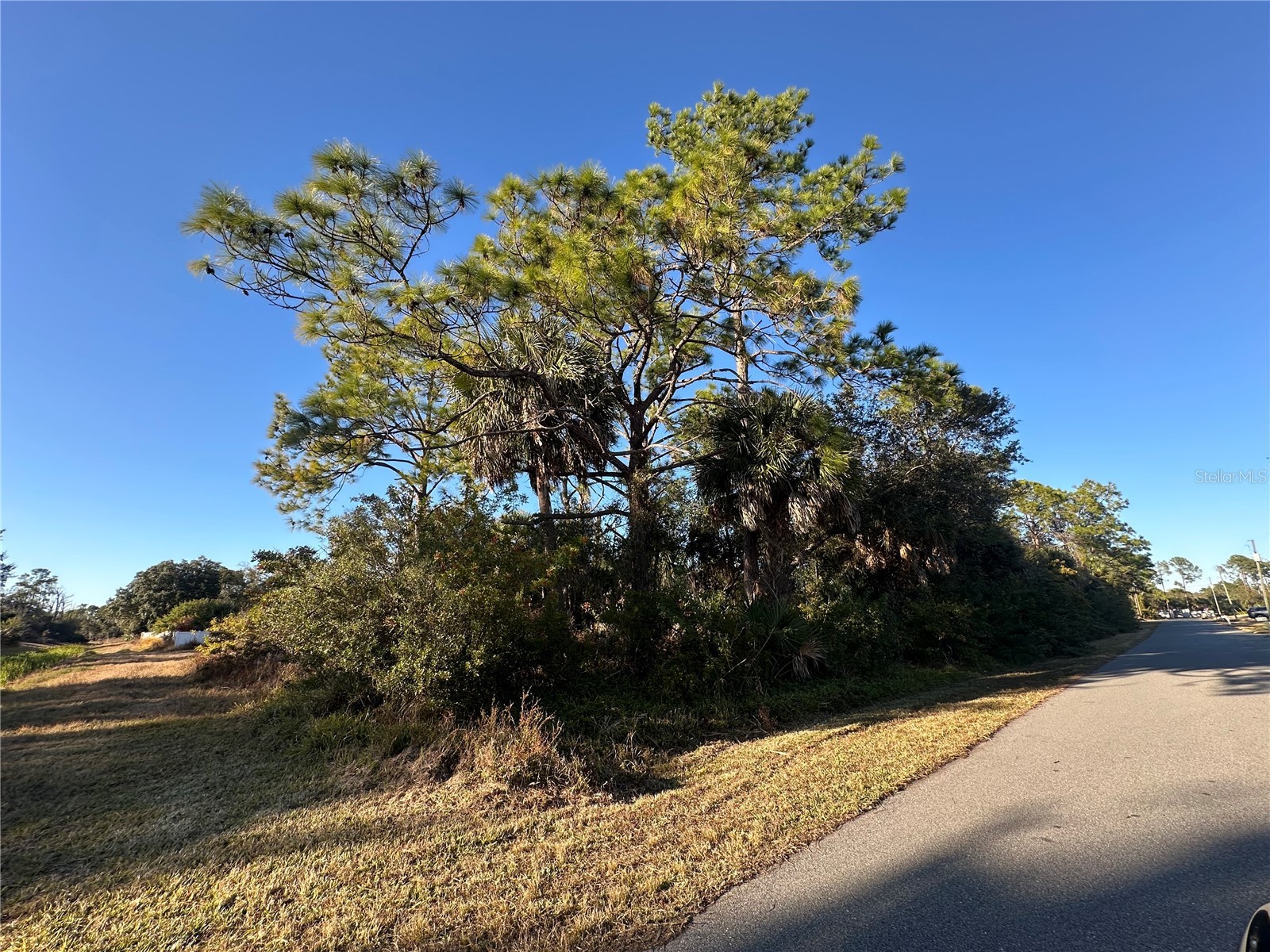 Clarke Street North Port FL 34286 A4682255 image1