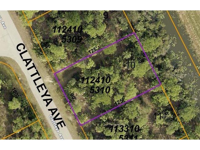 Clattleya Avenue North Port FL 34288 OM682829 image1