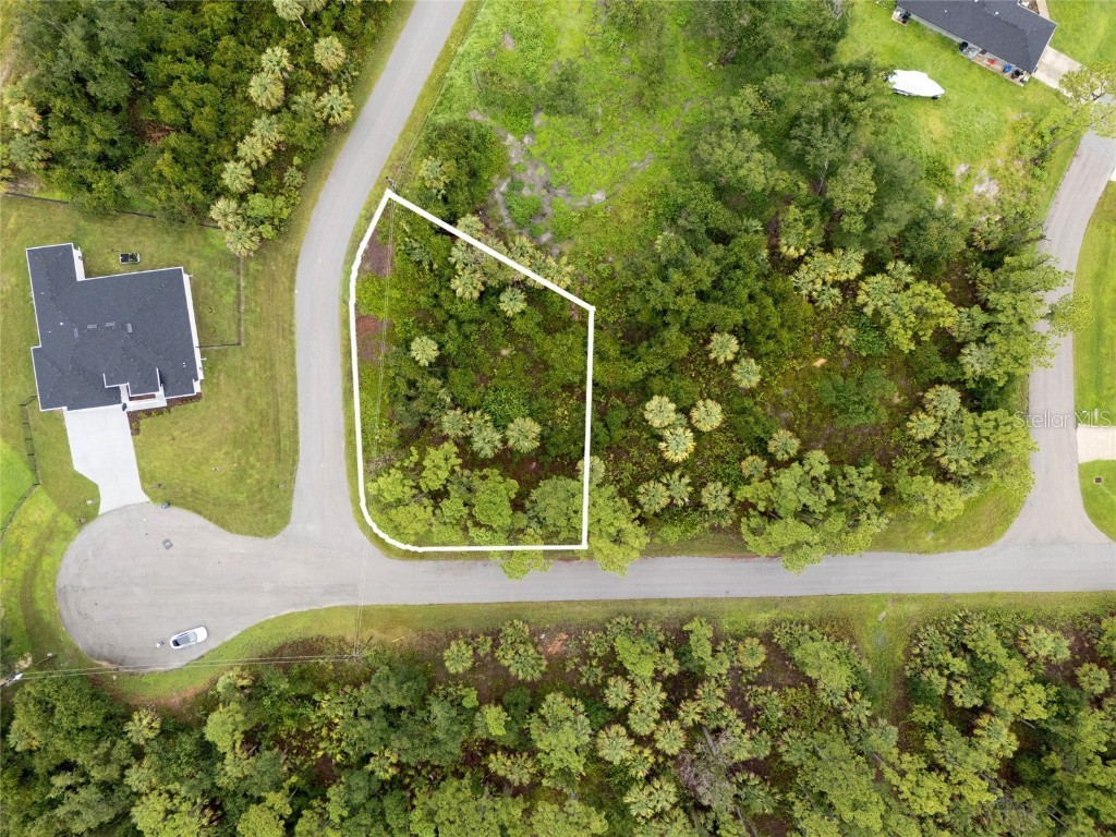 Clattleya Avenue North Port FL 34288 C7513959 image1