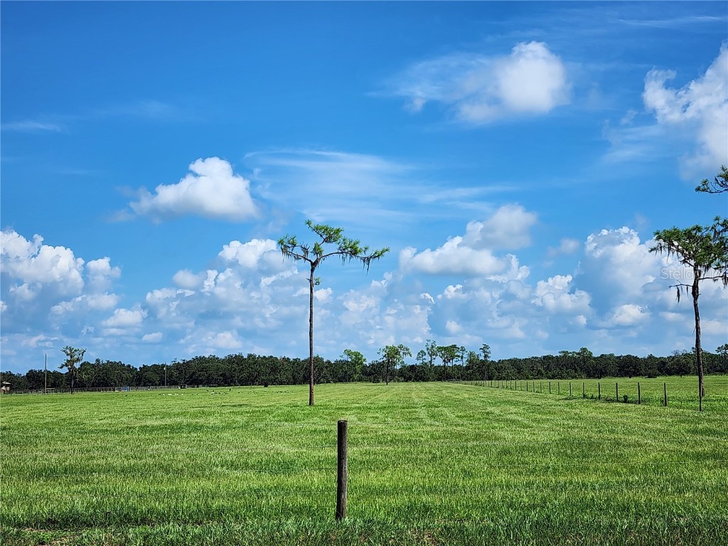 Clay Gully Road Myakka City FL 34251 A4584120 image1
