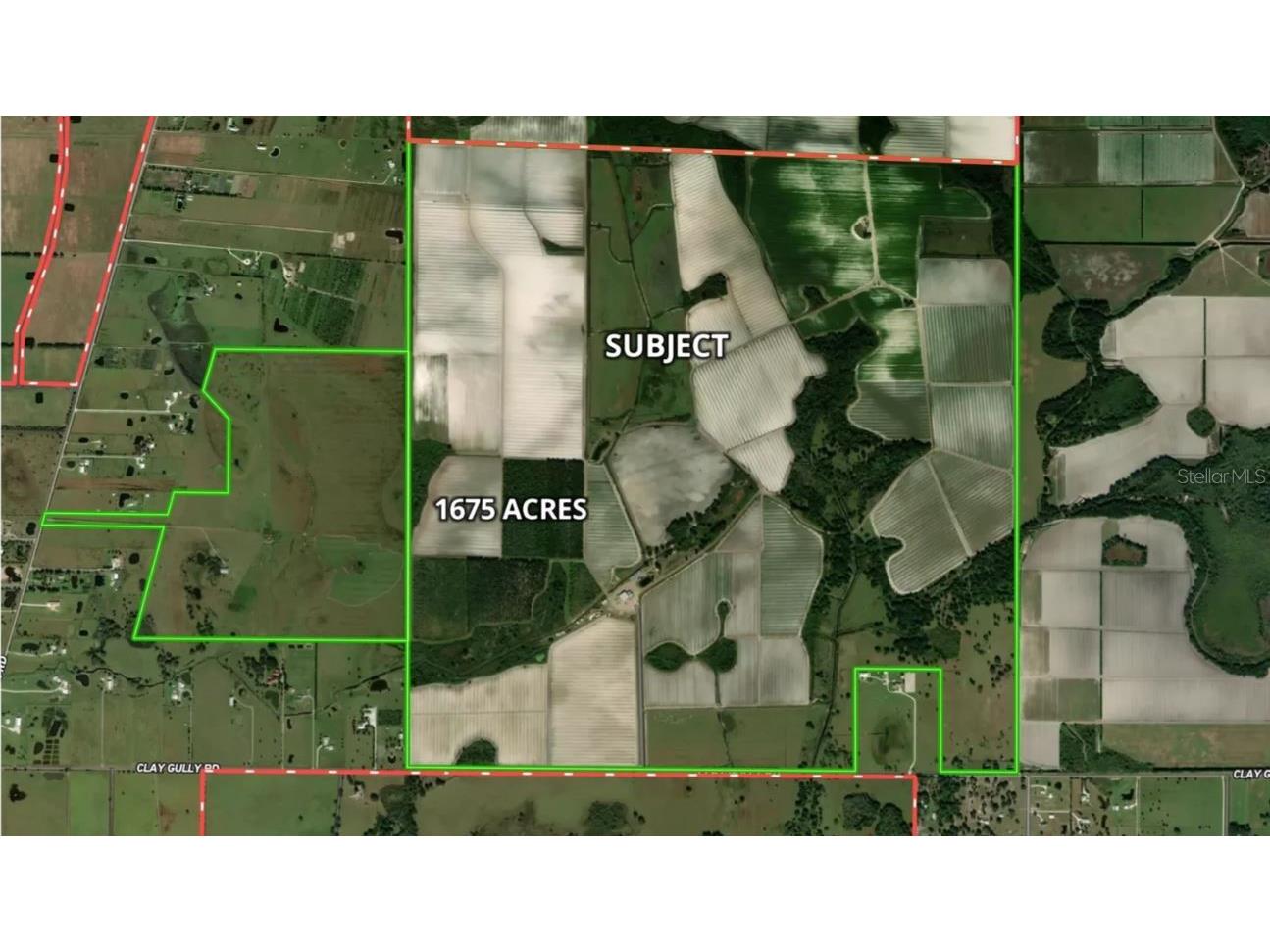 Clay Gully Road Myakka City FL 34251 TB8448760 image3