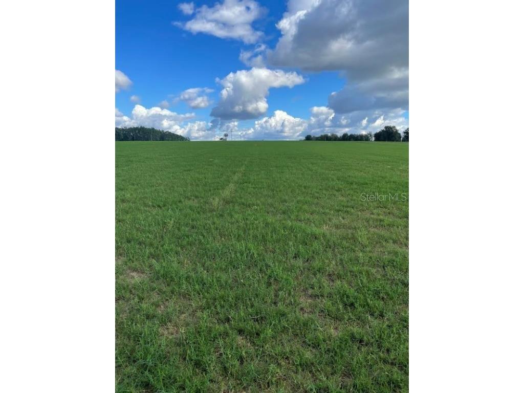 Clay Hill Road Dade City FL 33523 T3487888 image1