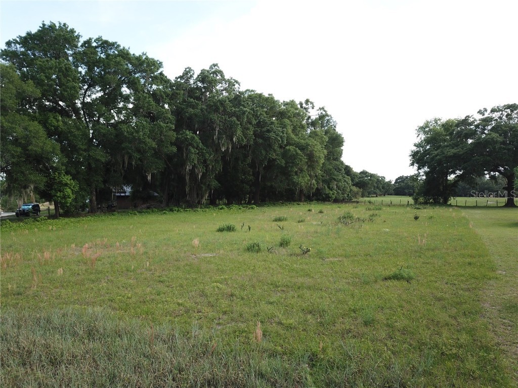 Clayton Trail Altoona FL 32702 O6018118 image1