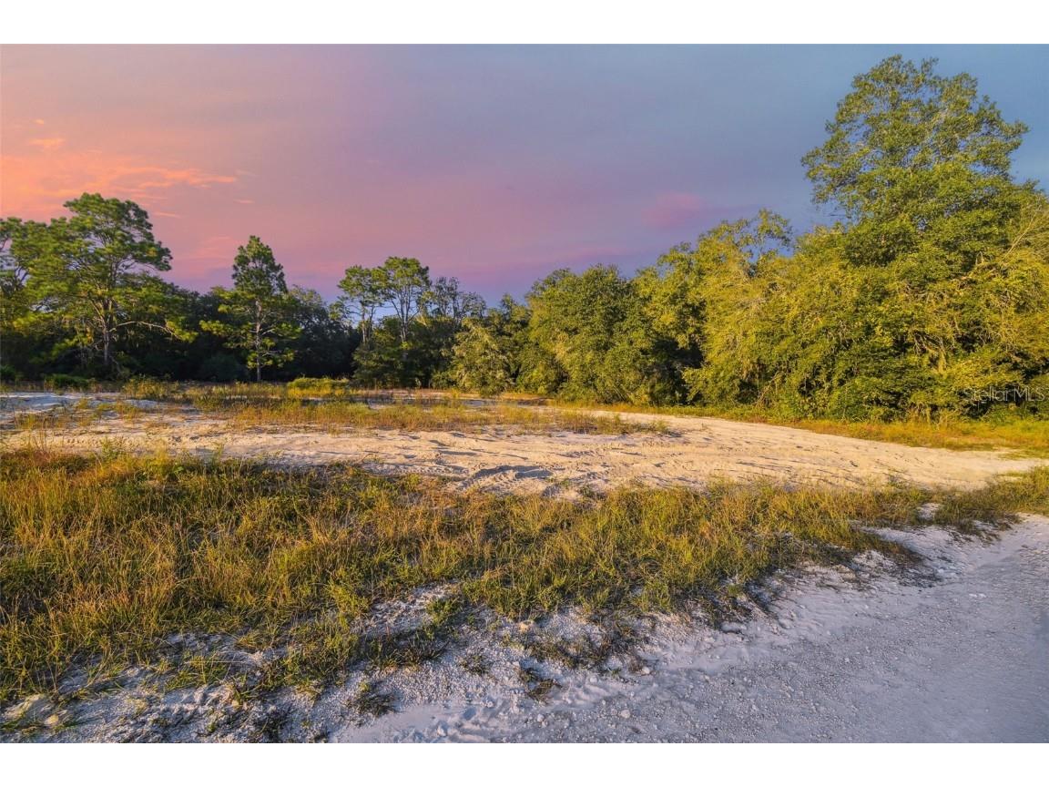 Cleft Rock Street Webster FL 33597 T3409414 image1