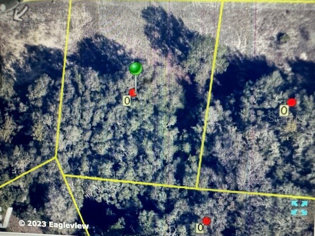 Cleft Rock Street Webster FL 33597 U8233059 image1