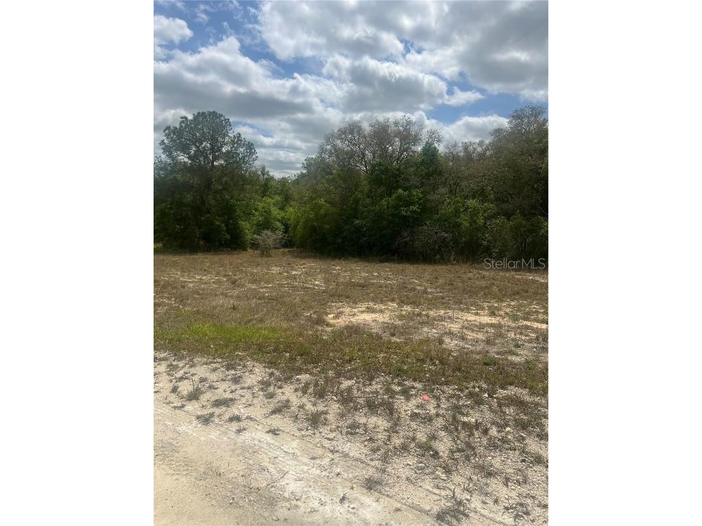 Cleft Rock Street Webster FL 33597 T3512463 image1