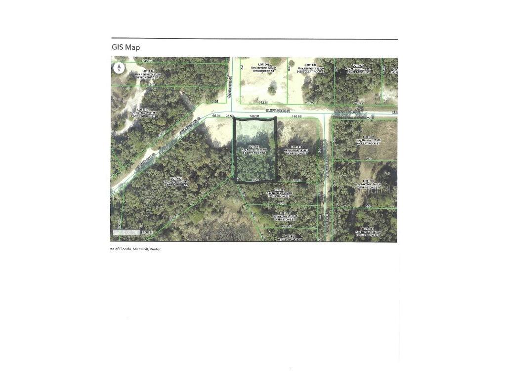 Cleft Rock Street Webster FL 33597 T3512463 image2