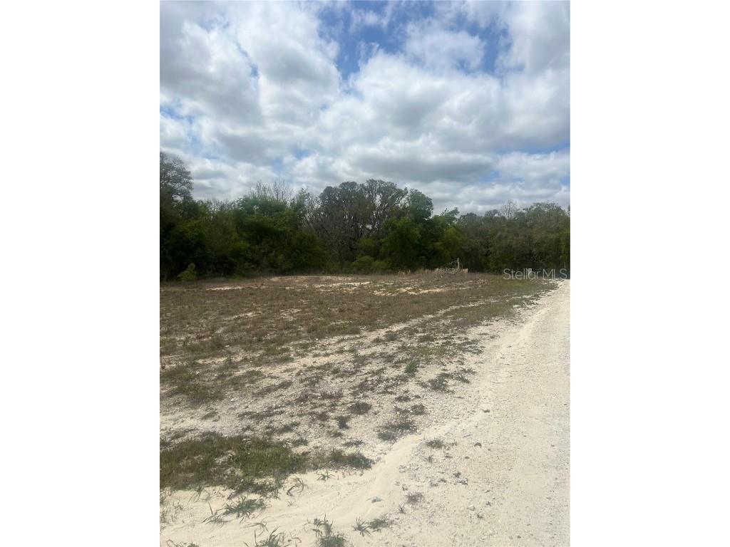 Cleft Rock Street Webster FL 33597 T3512463 image3