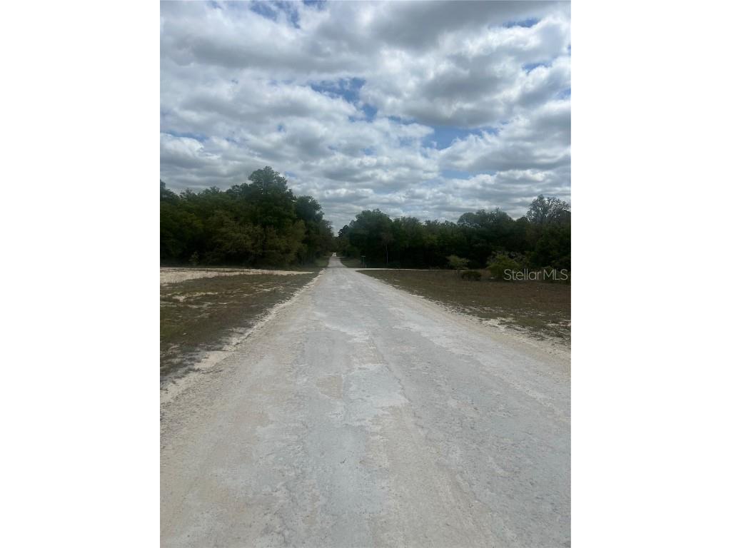 Cleft Rock Street Webster FL 33597 T3512463 image5