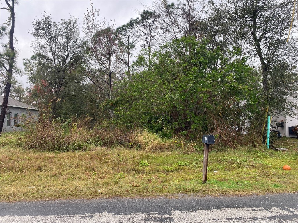 Clermont Drive Kissimmee FL 34759 P4933432 image2