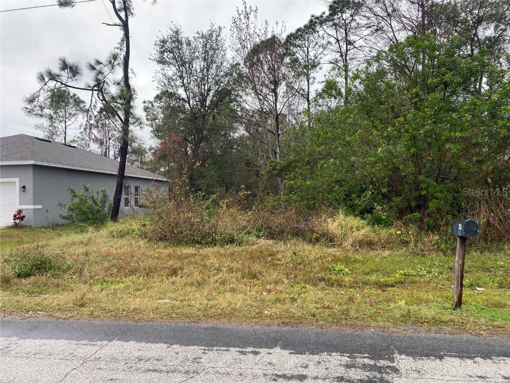 Clermont Drive Kissimmee FL 34759 P4933432 image3