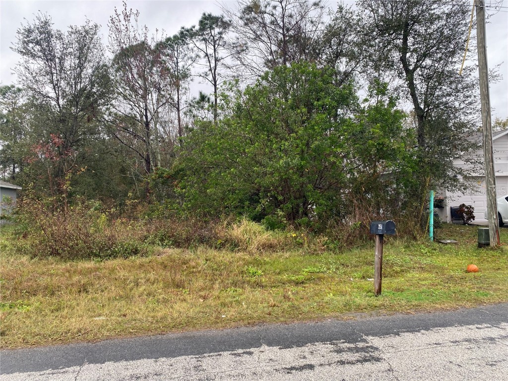 Clermont Drive Kissimmee FL 34759 P4933432 image4