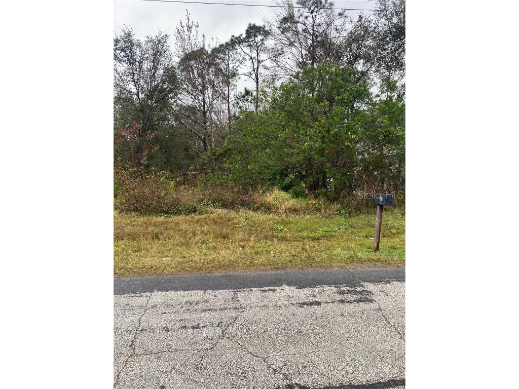 Clermont Drive Kissimmee FL 34759 P4933432 image5