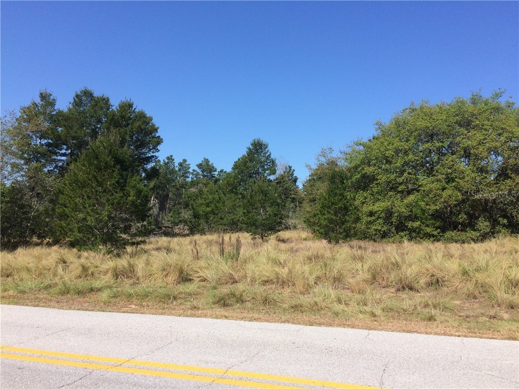  Clermont FL 34711 O5858308 image1