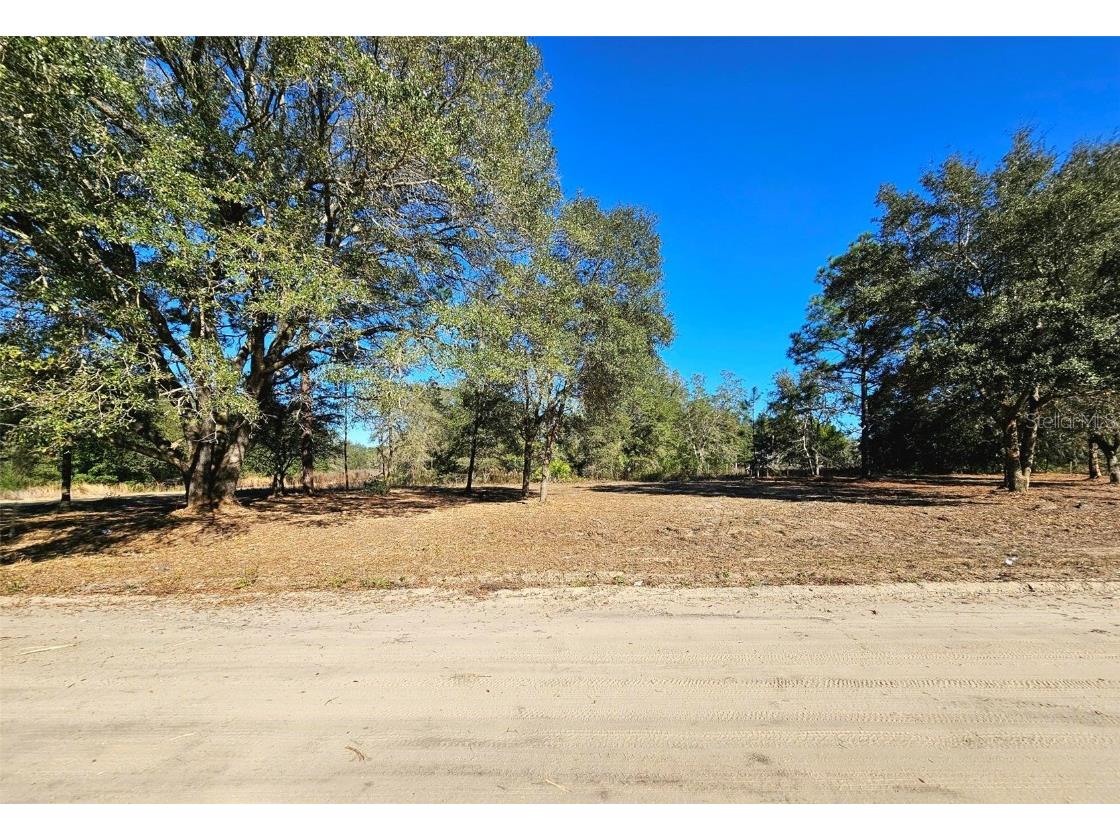 Clifford Street Interlachen FL 32148 GC518833 image1