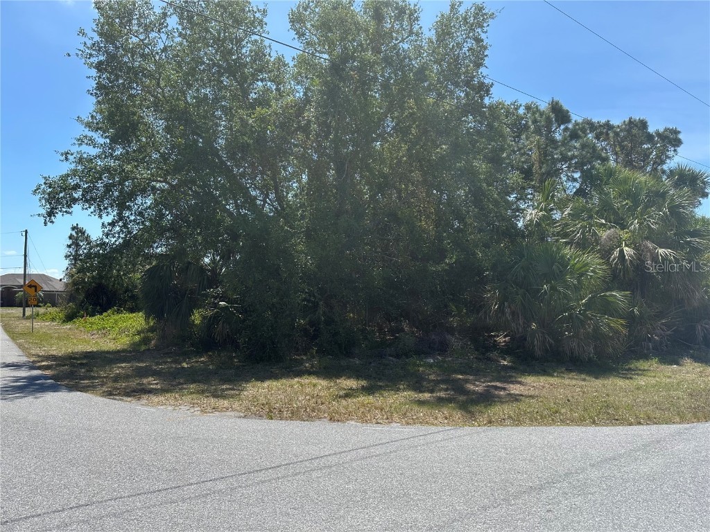 Clovelon Avenue North Port FL 34291 N6138608 image1