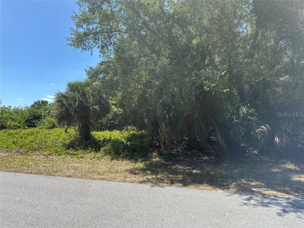 Clovelon Avenue North Port FL 34291 N6138608 image4