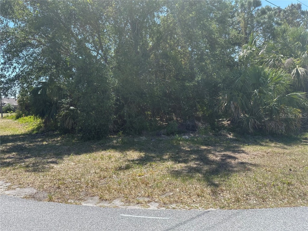 Clovelon Avenue North Port FL 34291 N6138608 image5