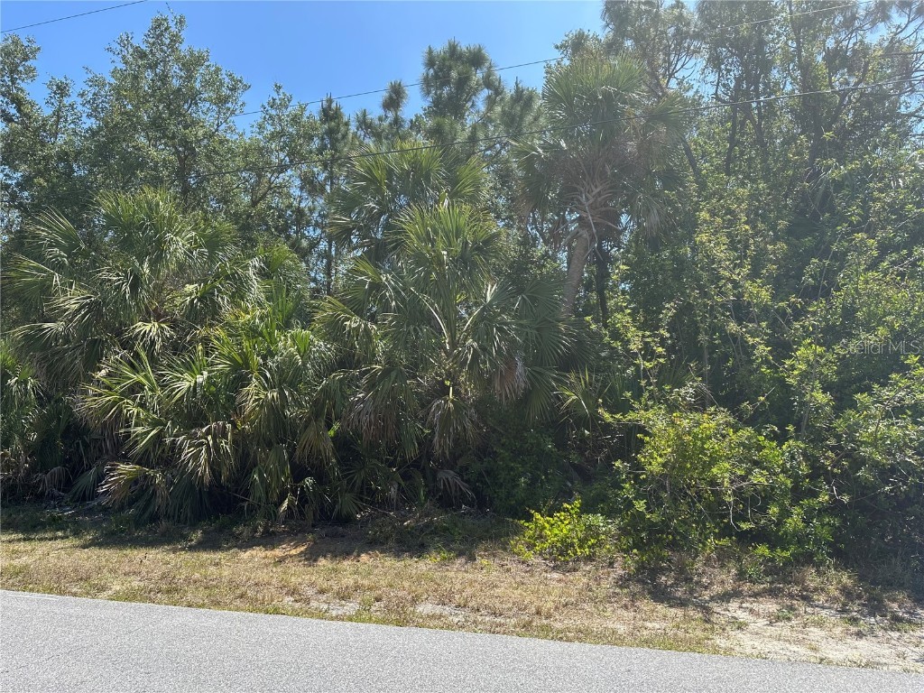 Clovelon Avenue North Port FL 34291 N6138608 image6
