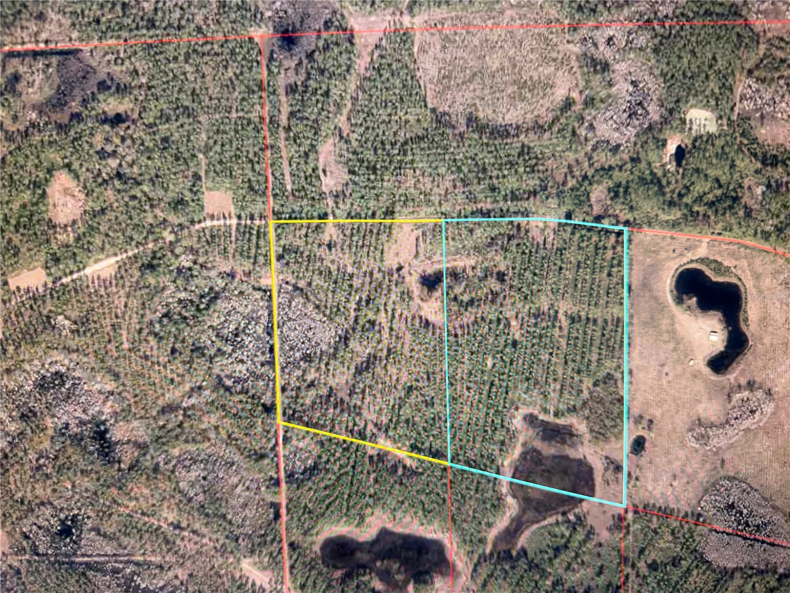 Clyatt Road Chiefland FL 32626 TB8468369 image7